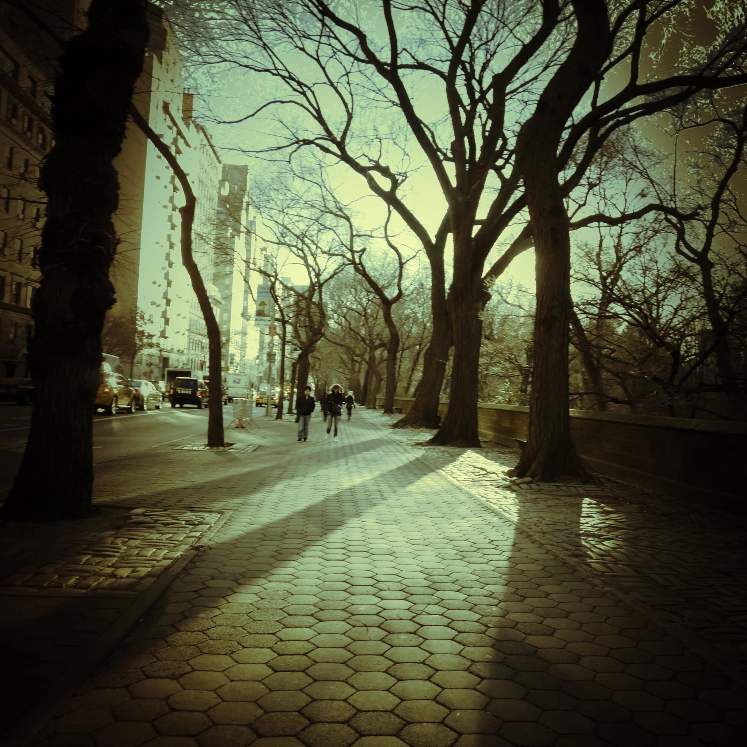 central park new york city