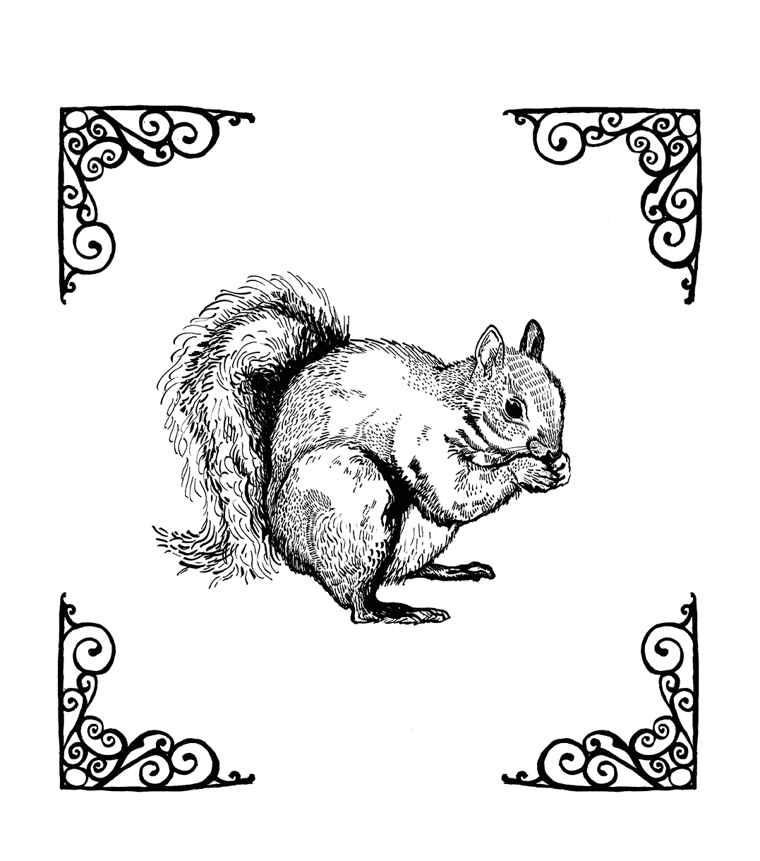 Squirrel Tote Bag Design