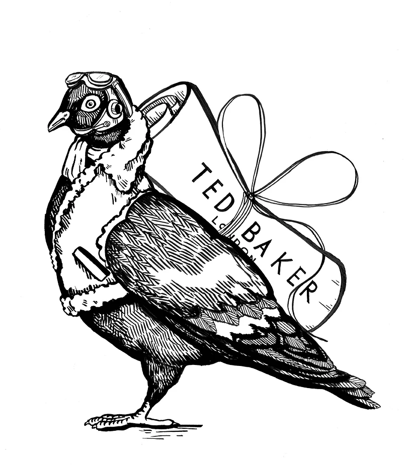 Messenger Pigeon