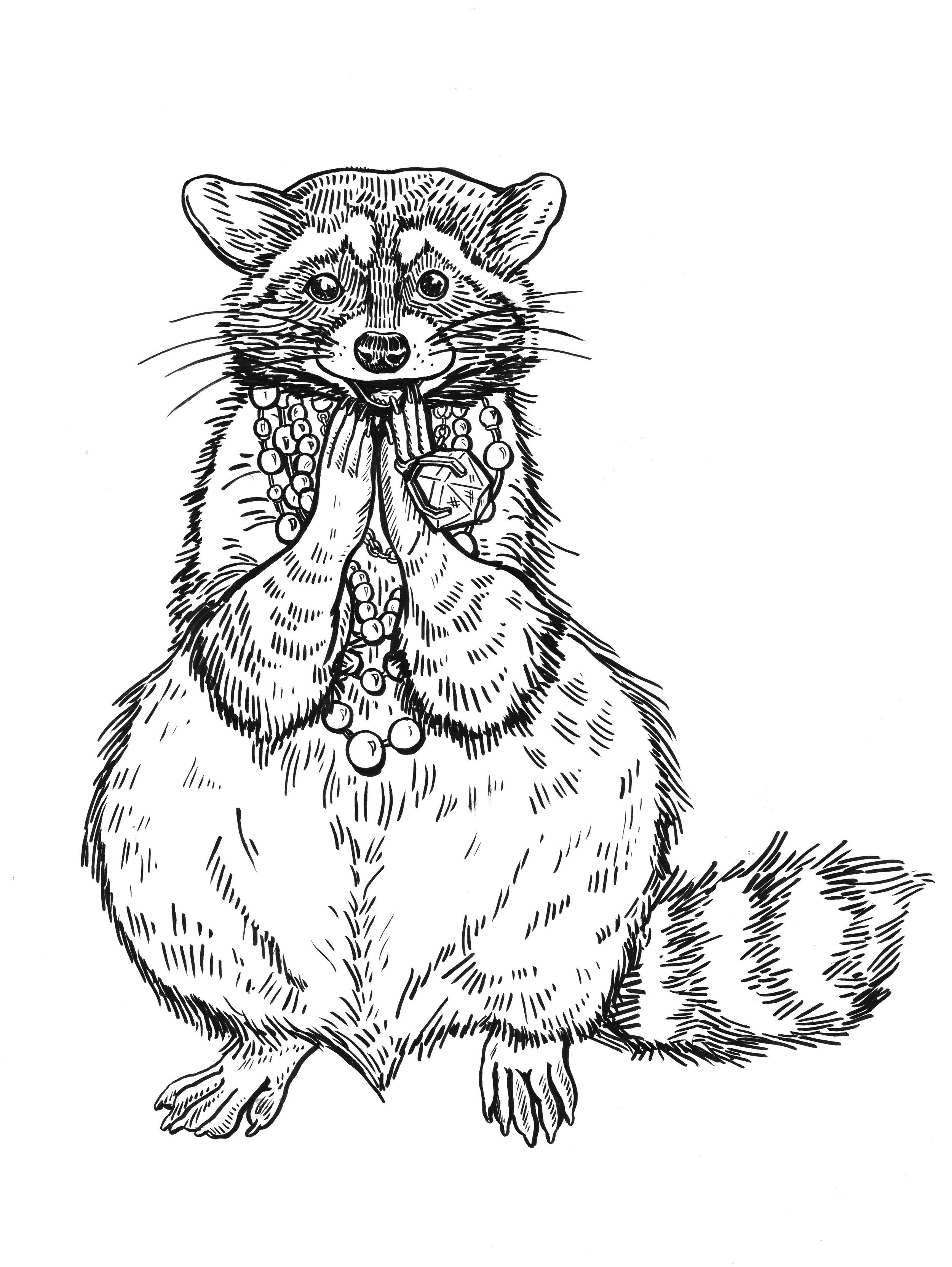 Surprised Raccoon