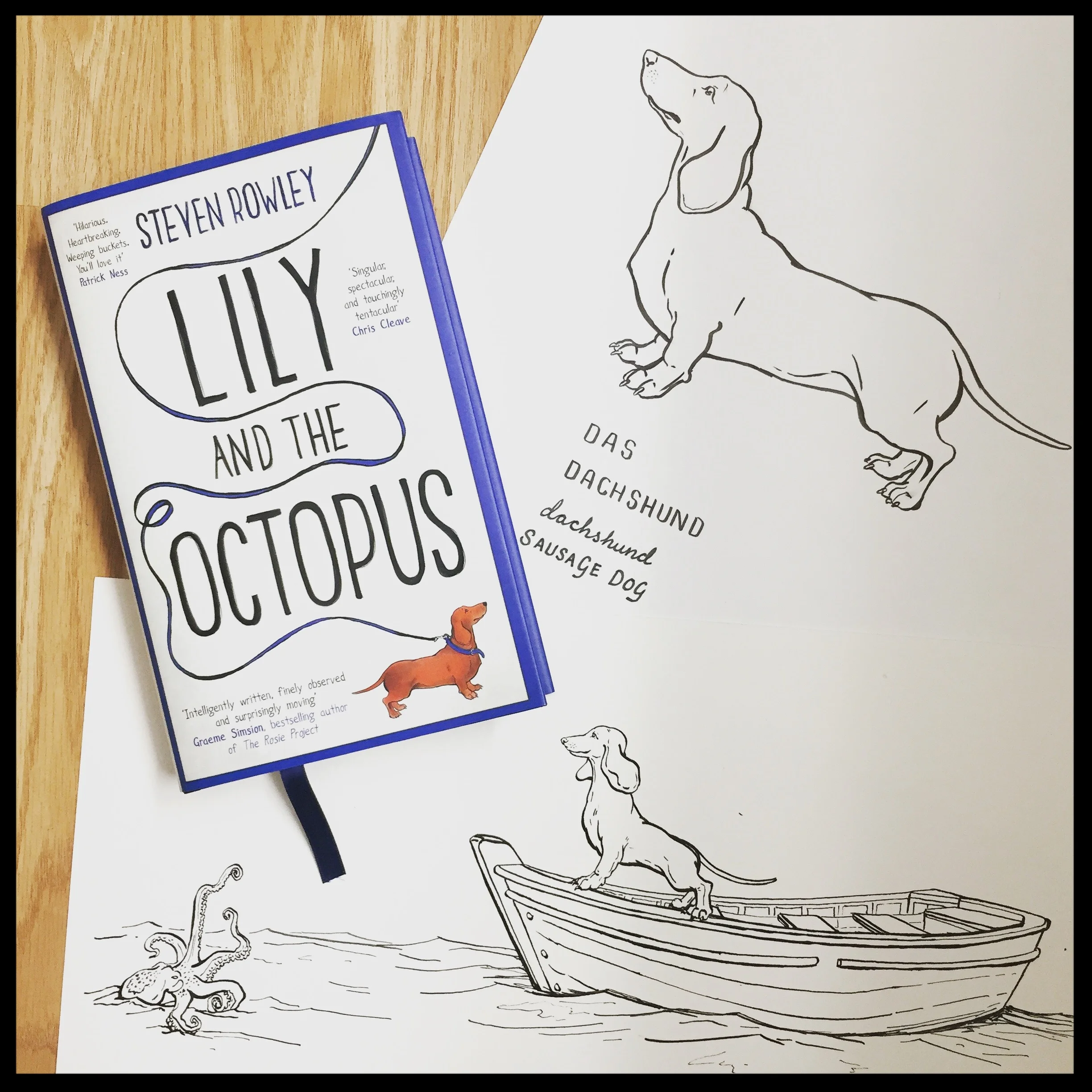 Lily and the Octopus