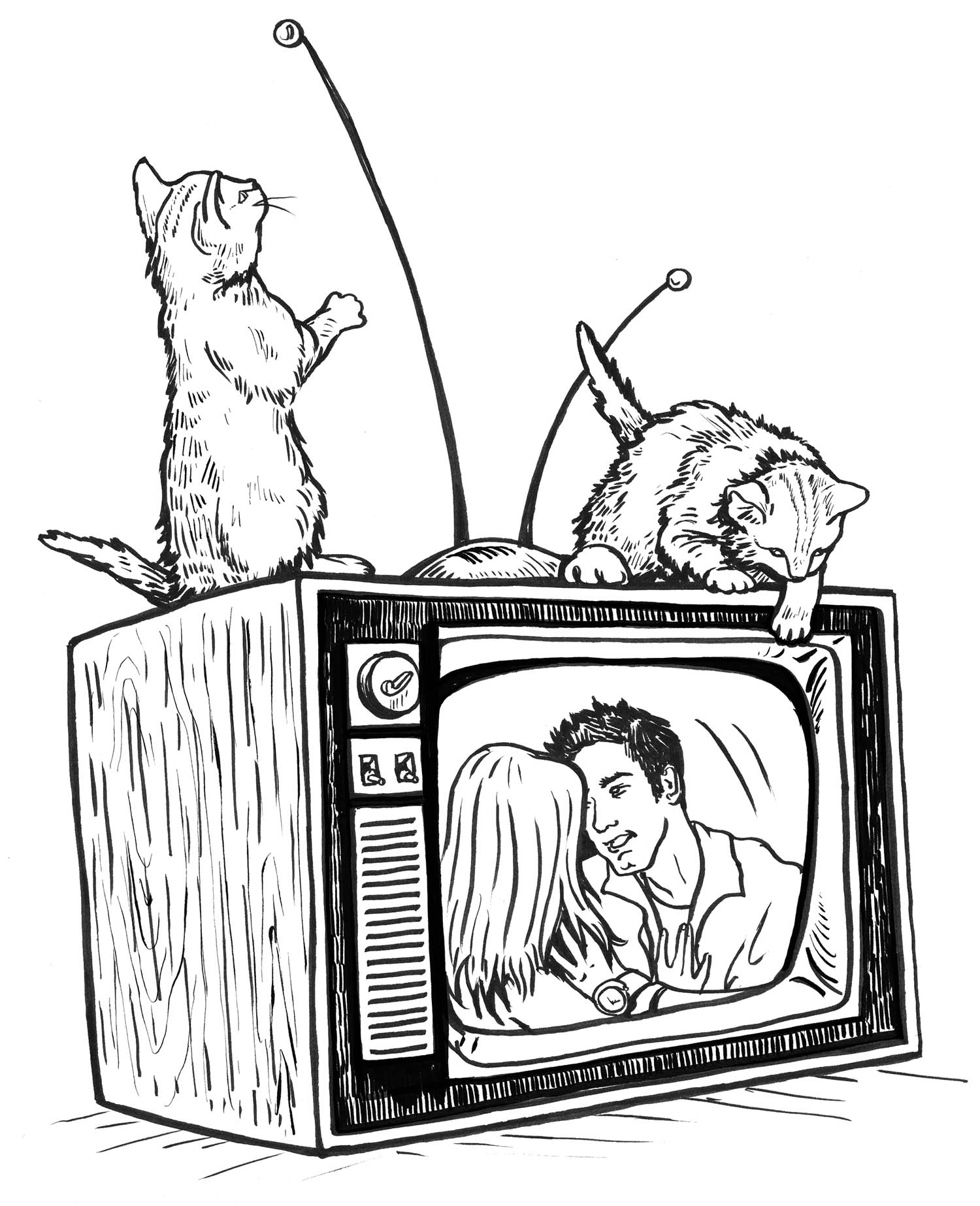 Kitten TV