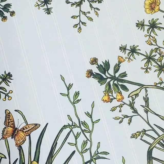 Alice's Adventures in Wonderland garden transfer