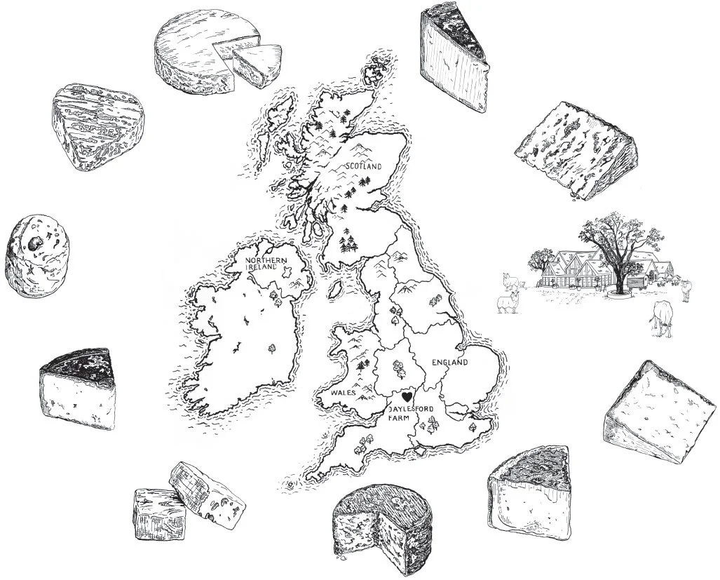 Regional Cheese Map of Britain for Daylesford Organic