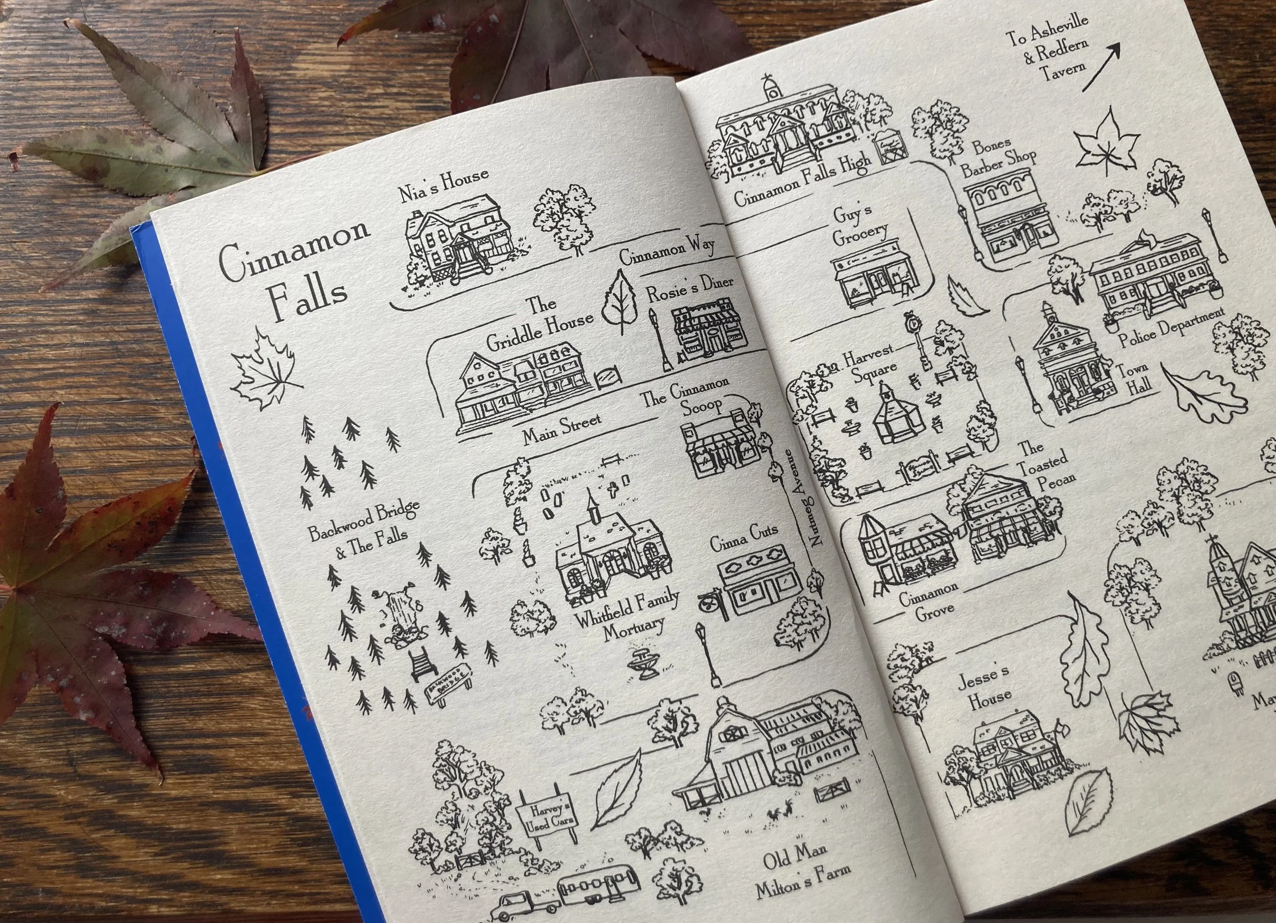 Cinnamon Falls - illustrated map 