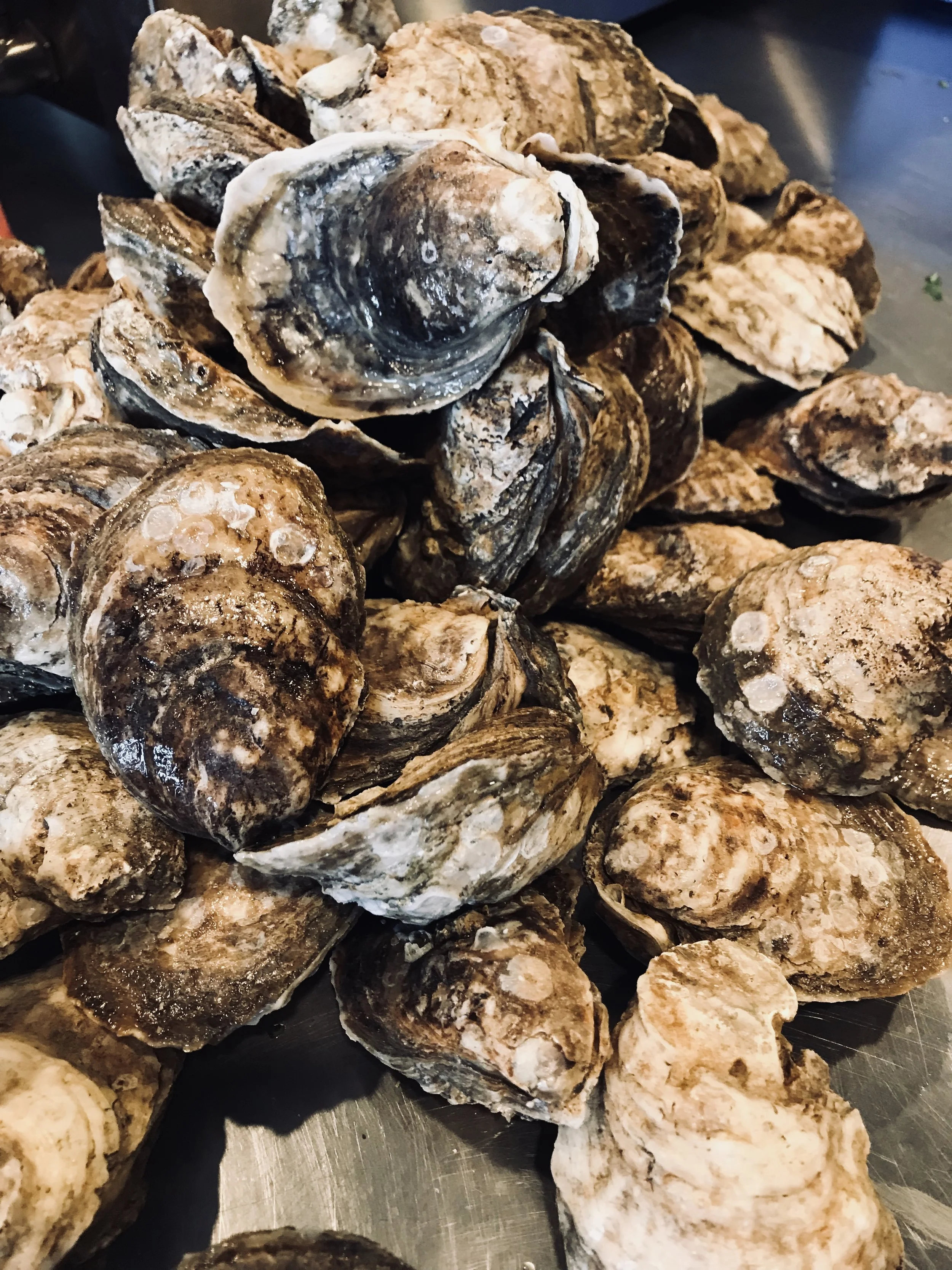 Gallery — Mockingbird Kitchen and Bar