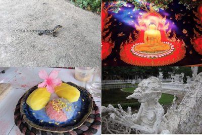  Things we see and tasted on the Road (Not the Lizard!)