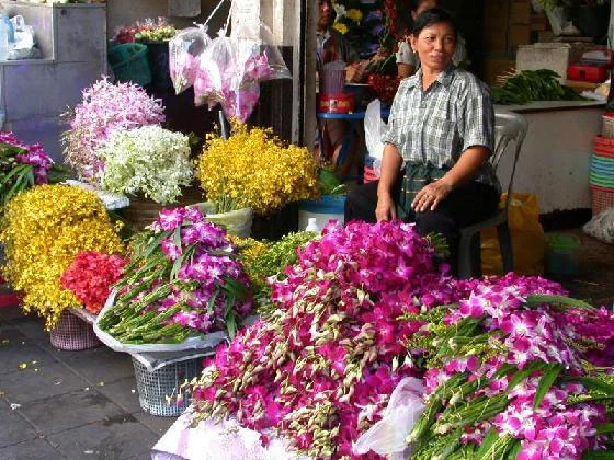 photo_gallery3_big.jpg