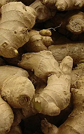 ginger.jpg