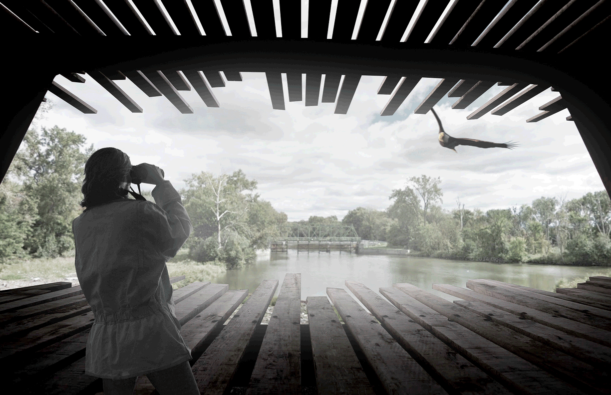 14_mayspoint_canal24_COLLECTIVE.gif