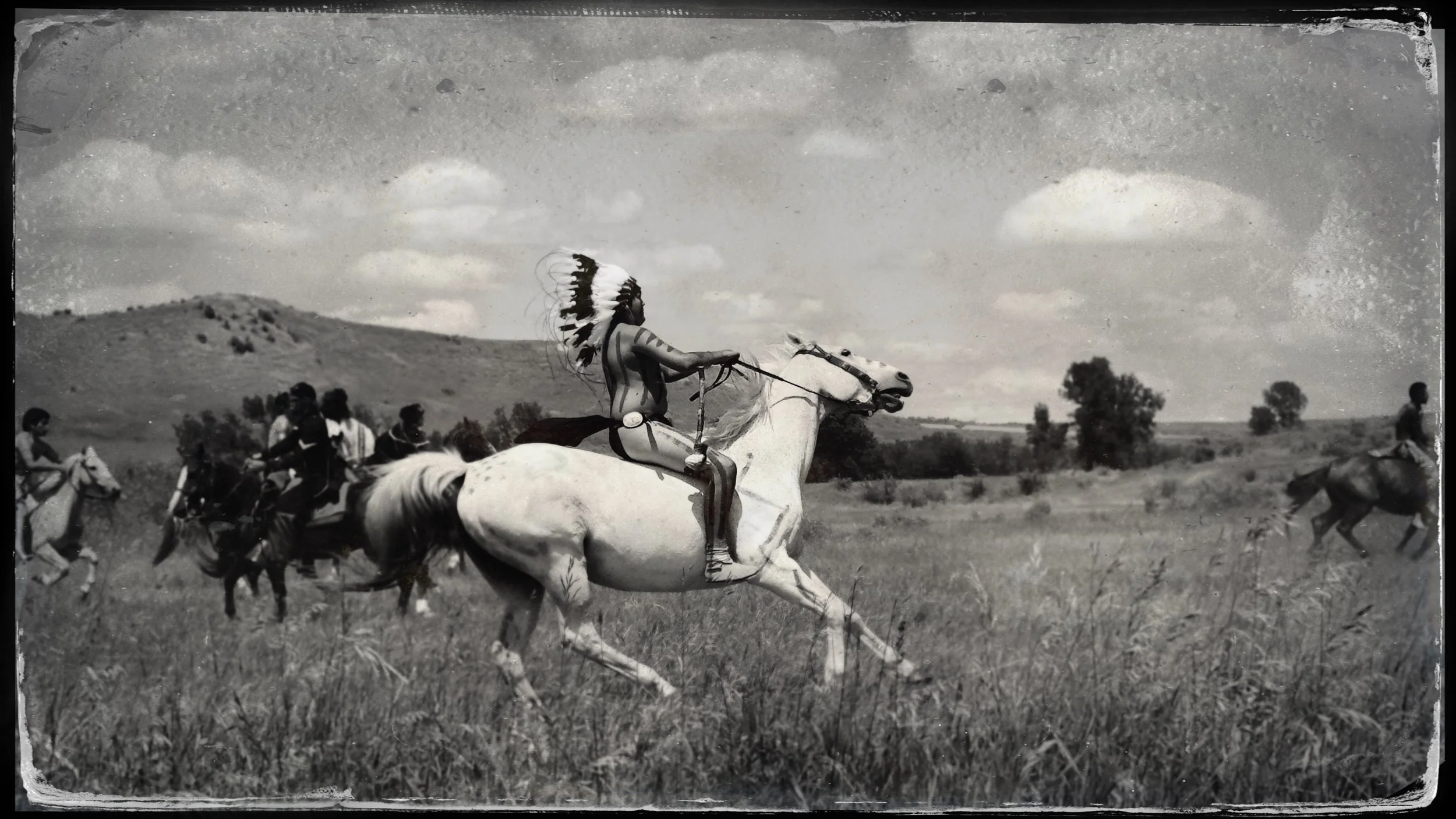 Crow on white horse.jpg