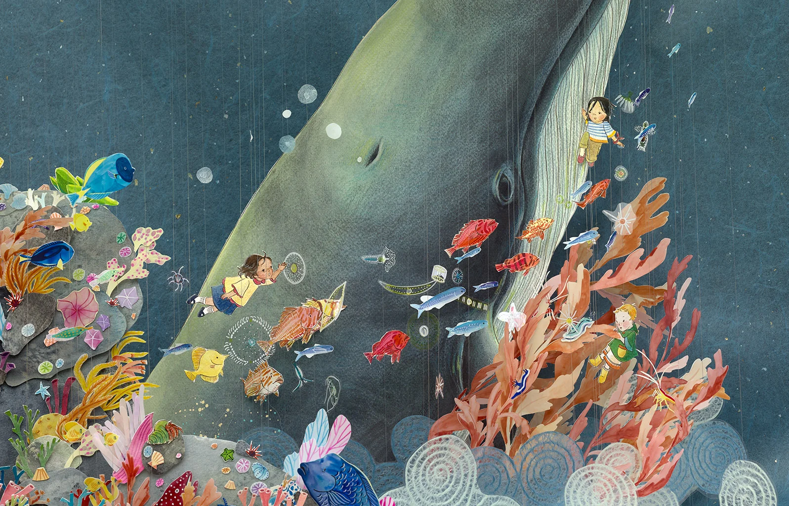 Coral Reef & Whale