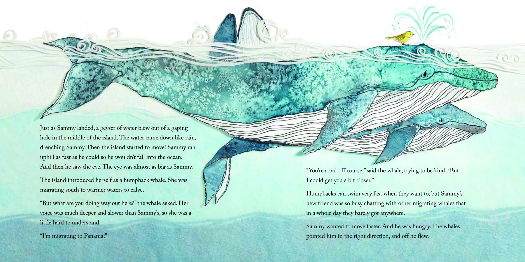 Panama_whales-spread.jpg