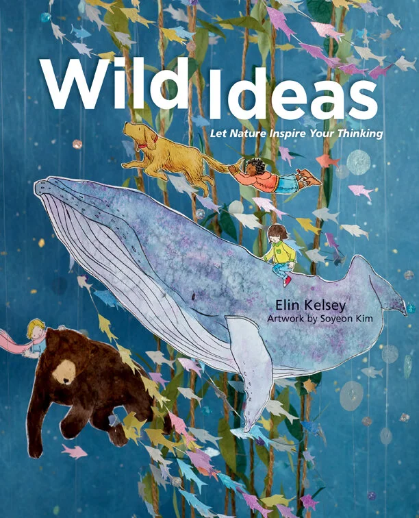 Wild Ideas Cover.jpg