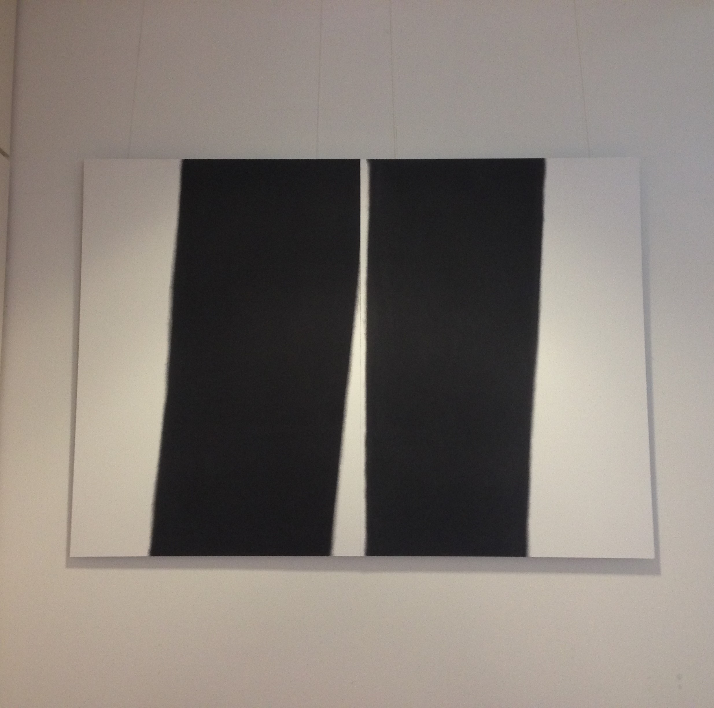 2 A0 pieces hung together (there are 4 of this size in the series). These are limited edition prints and have been mounted on alumiumiun.