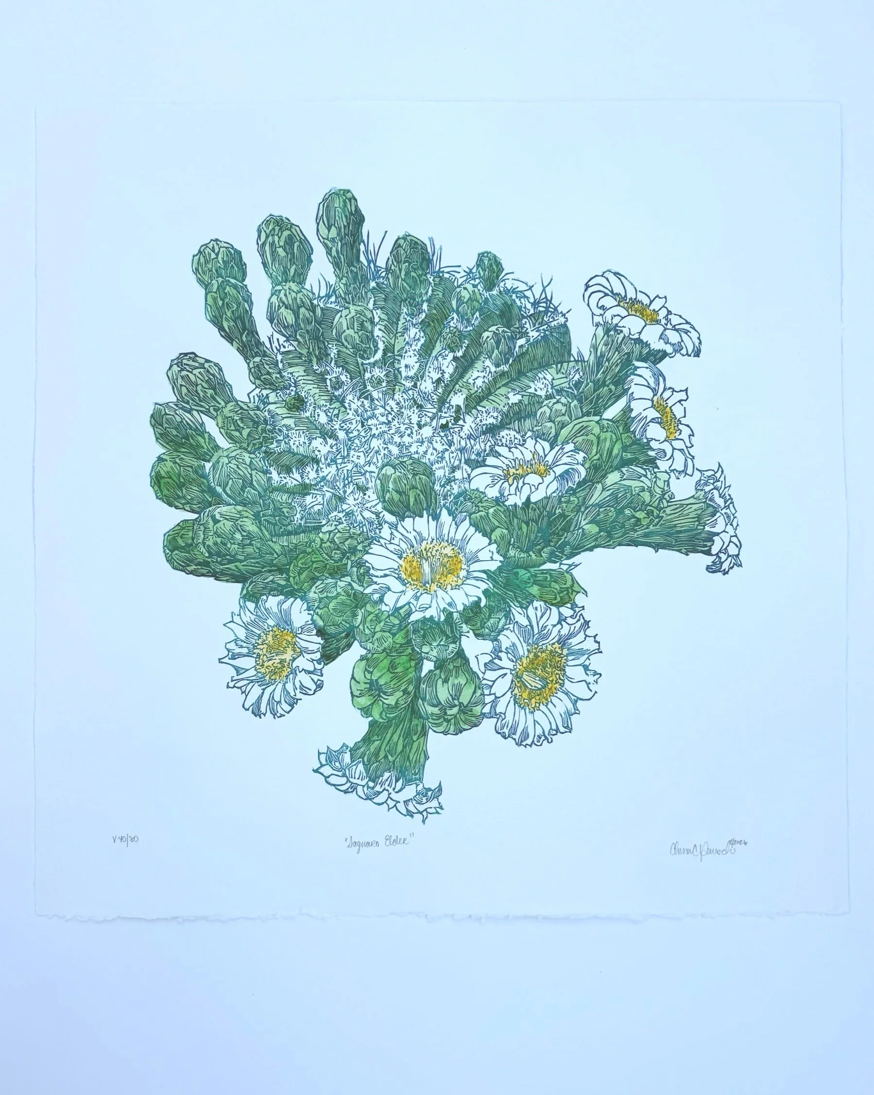 “Saguaro Elder” Green & Yellow