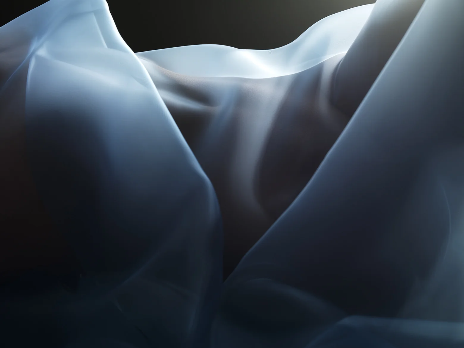 Organza.jpg