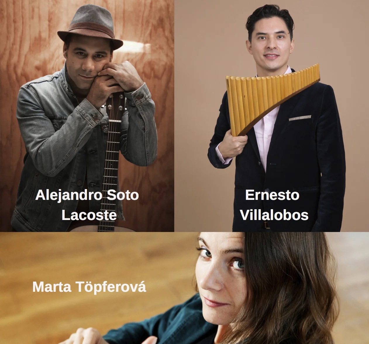 Alejandro Ernesto Marta collage w names JPEG.jpg