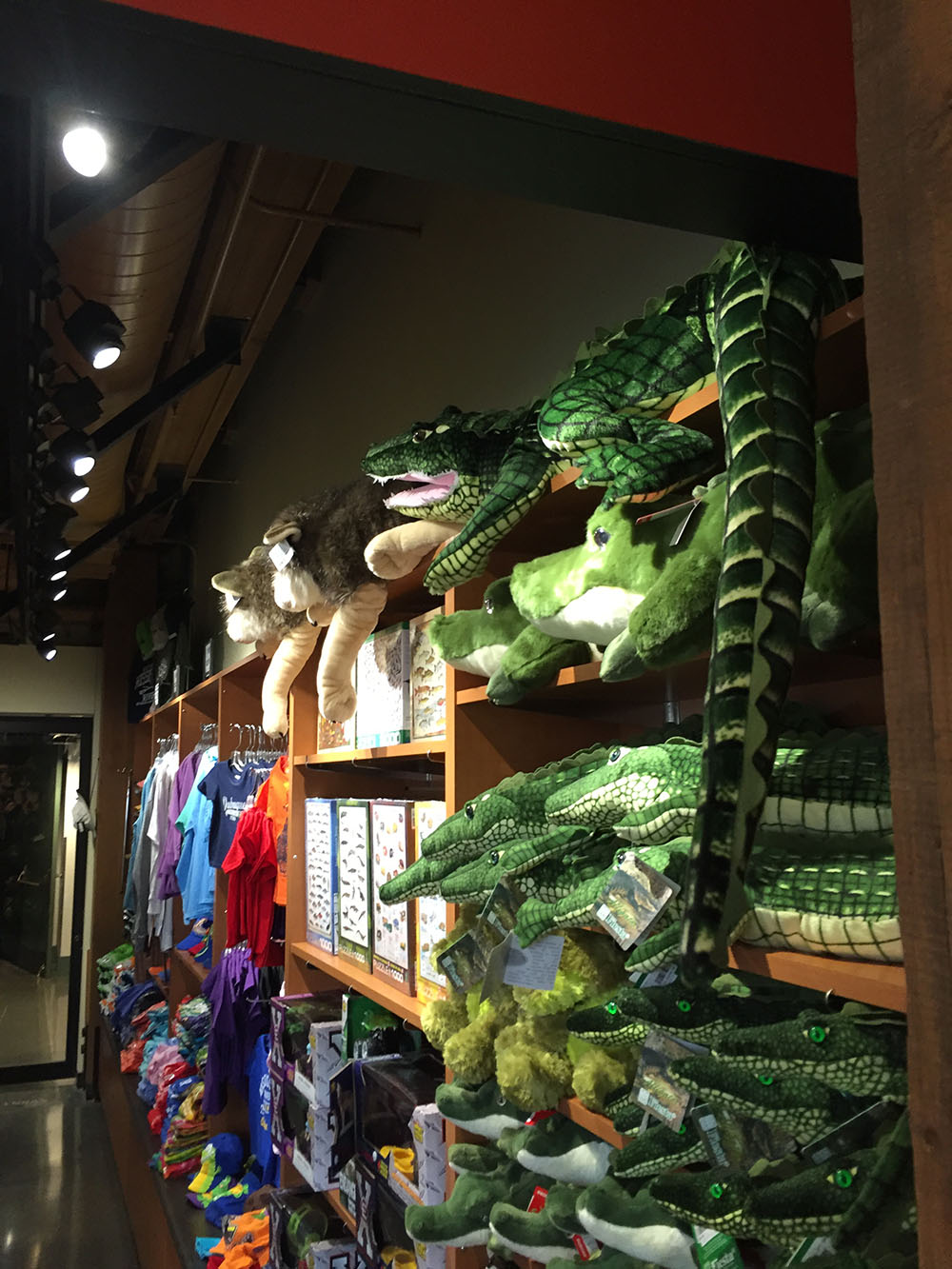 Gift shop shelf lighting.