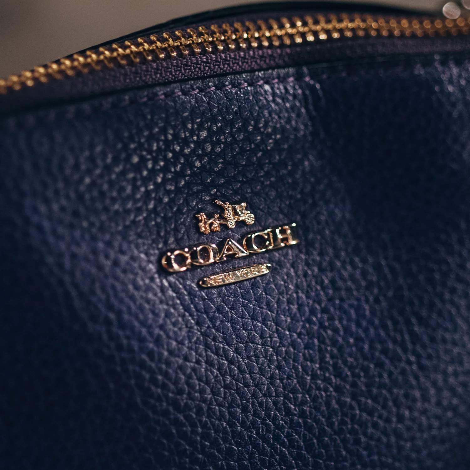 Suzanne's Purse
