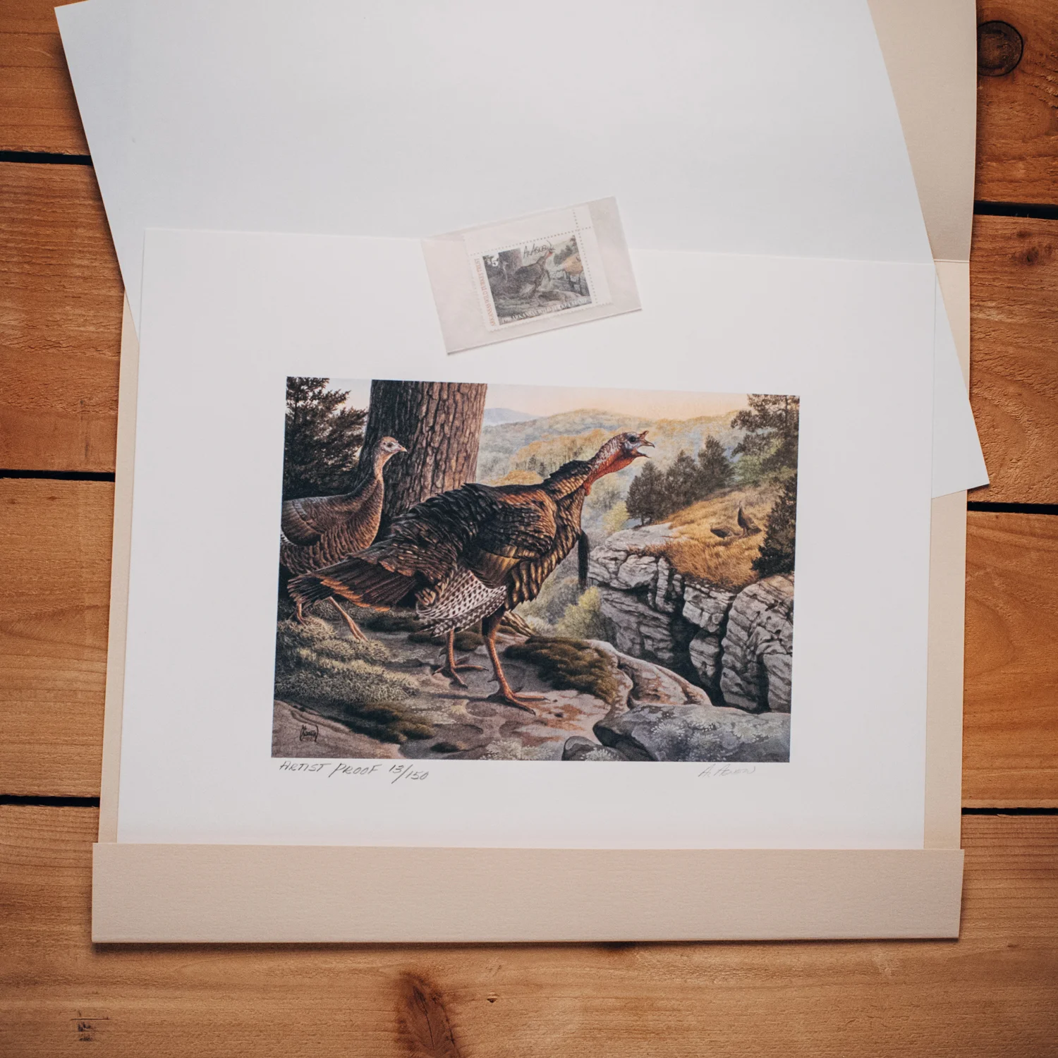 Suzanne's Quail Unlimited print