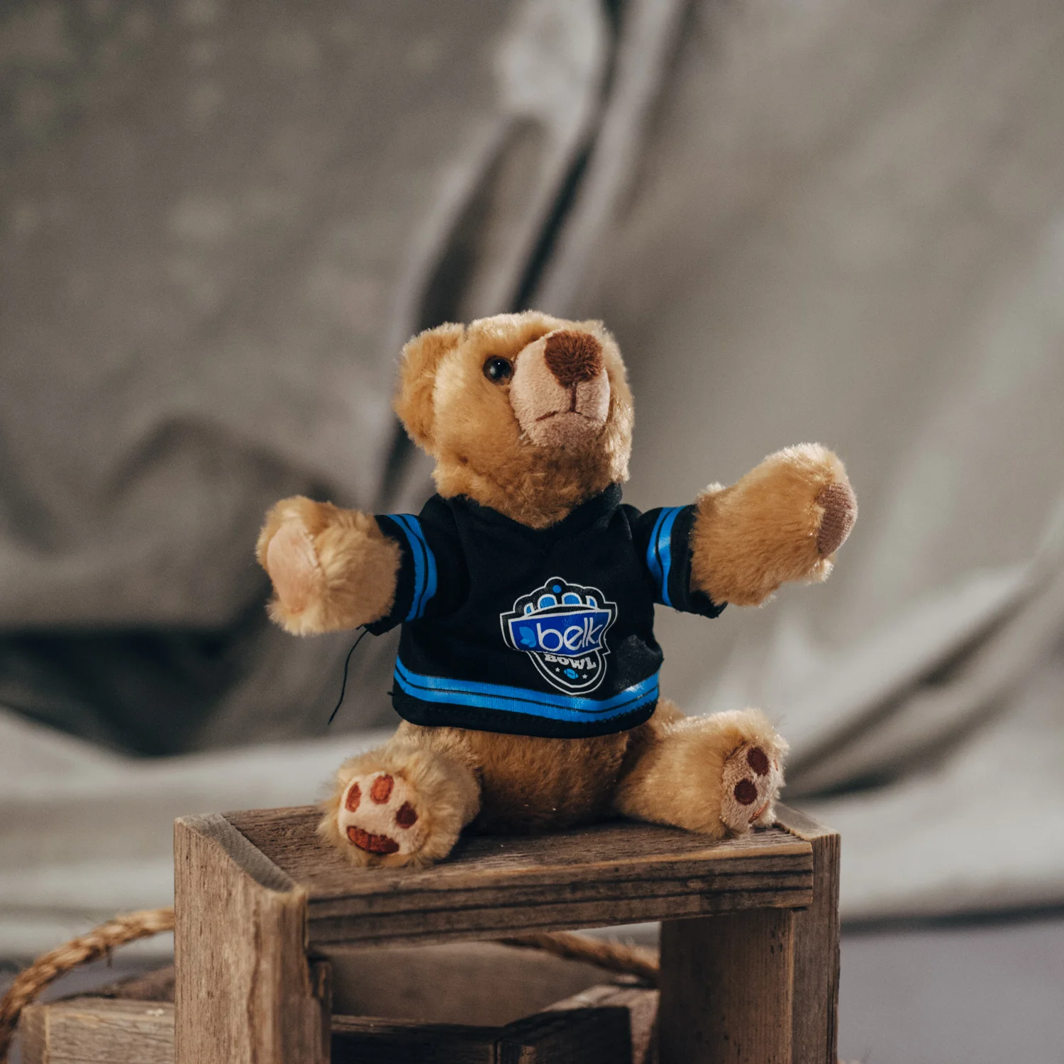 Cincinnati vs. UNC Bowl Game Bear