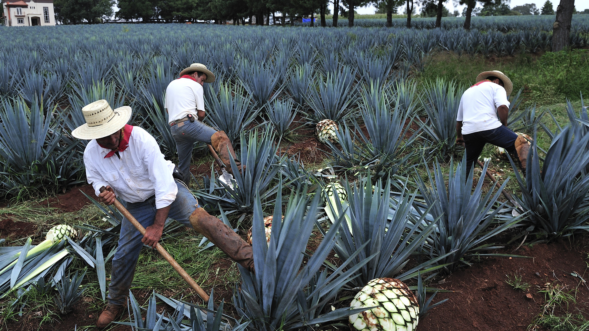 17-WEB-Sponsor_marg03.jpg