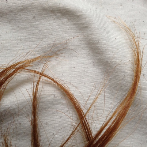 Hair ends - taken before my first non-Apple Soda wash.