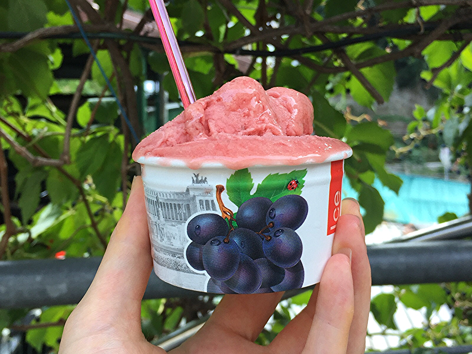 Vegan, dairy-free sorbet in Positano, Italy