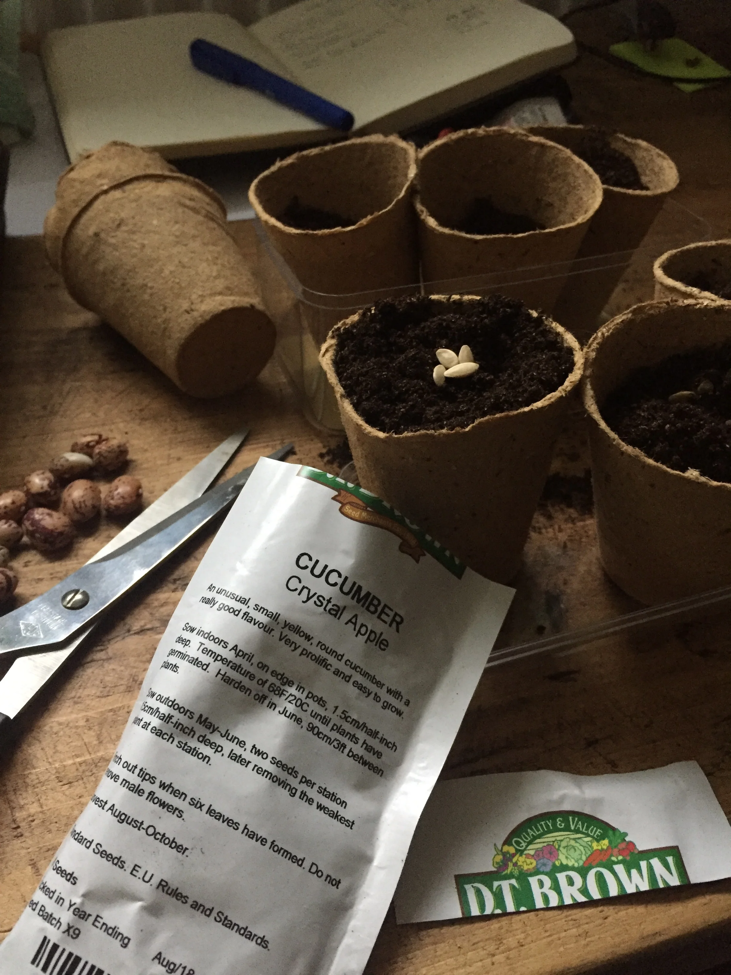 Urban Vegetable Gardening: Sowing Seeds (April)