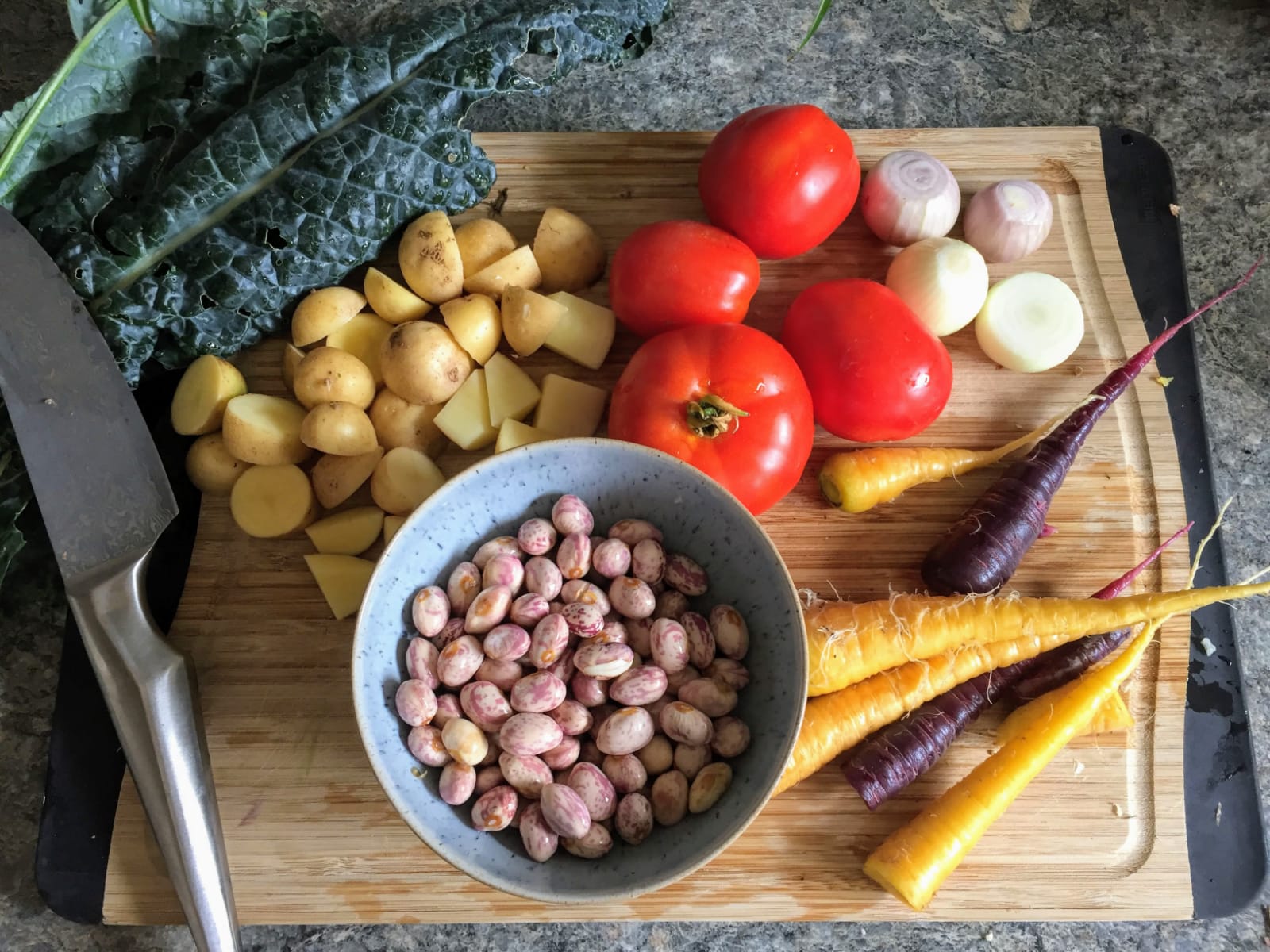 All the vegetables in the above image came from our garden. To see what we did with these ingredients, see here .
