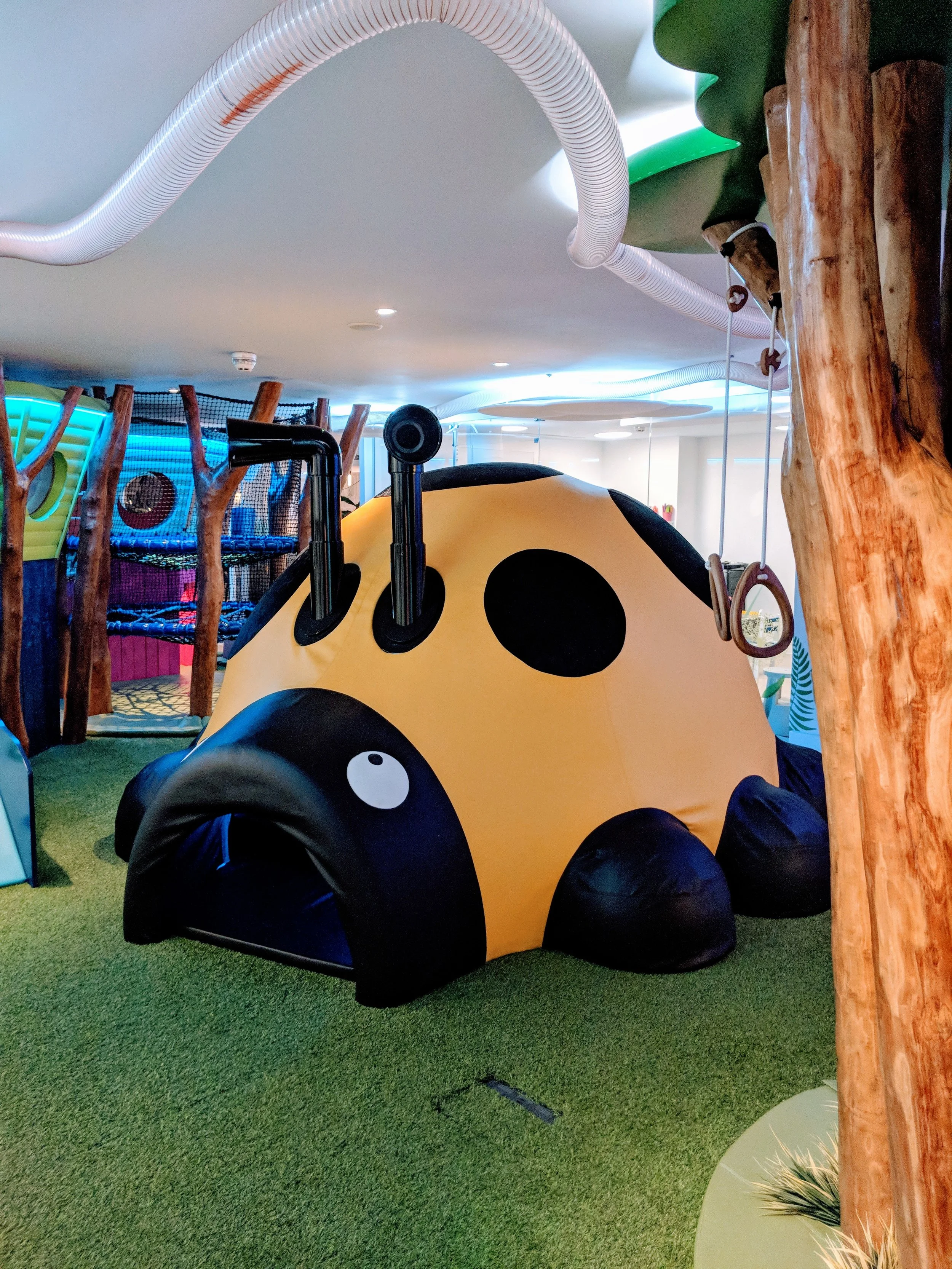 Ladybird den