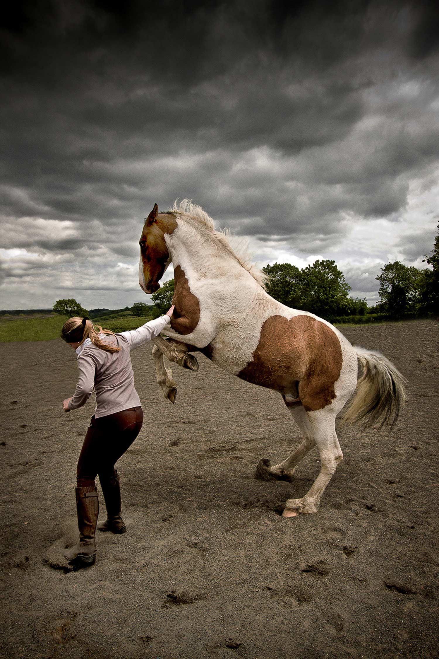 horse-photographer-001-SS.jpg