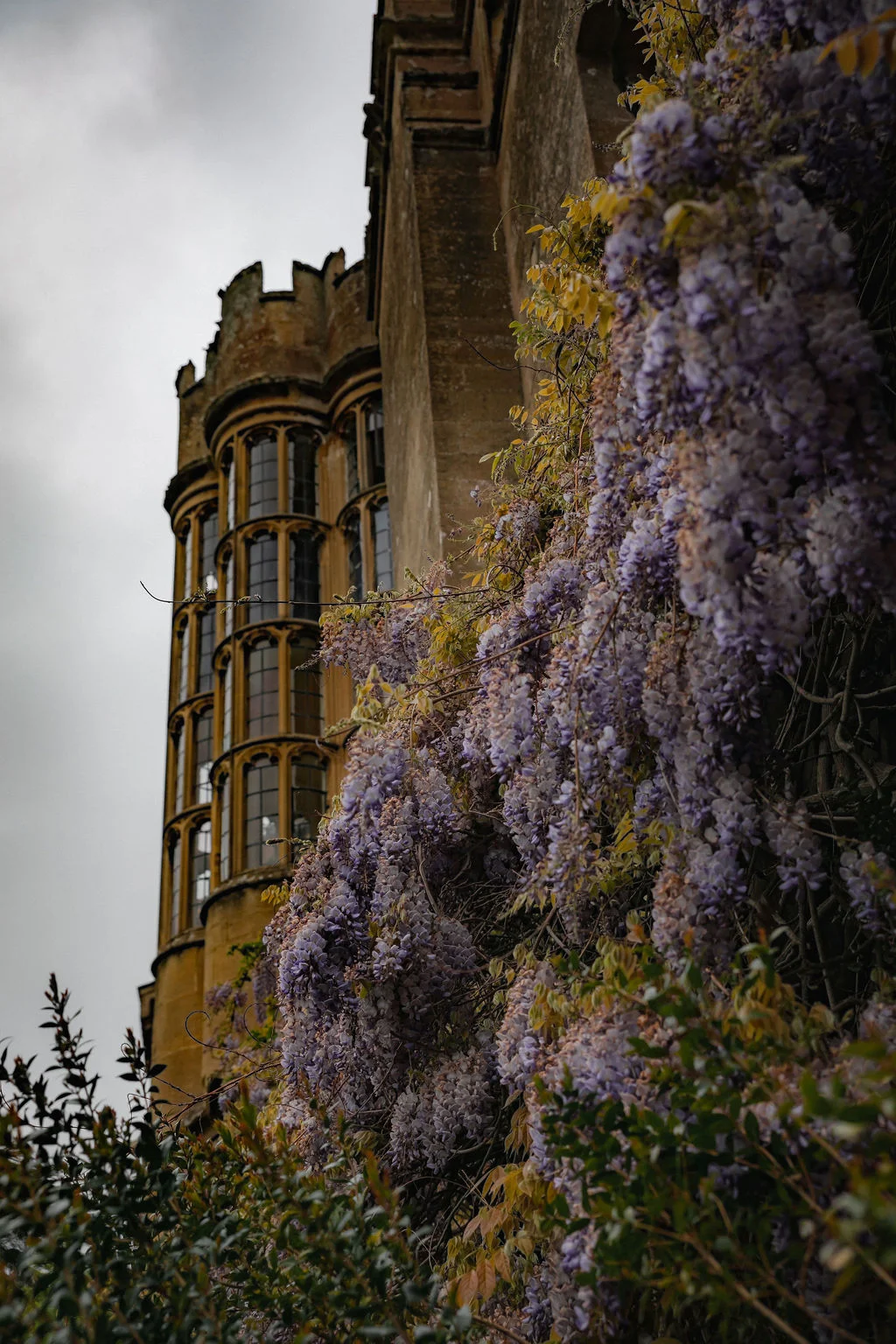 Thornbury_Castle_JR-277.jpg