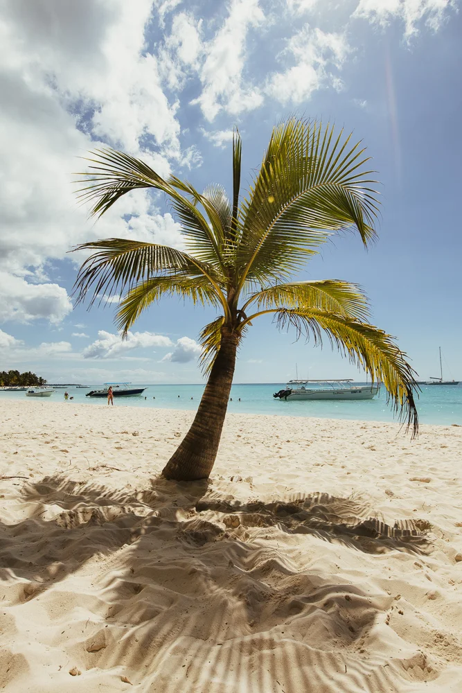 aiota-saona-island-28.jpg