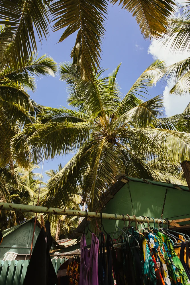 aiota-saona-island-31.jpg
