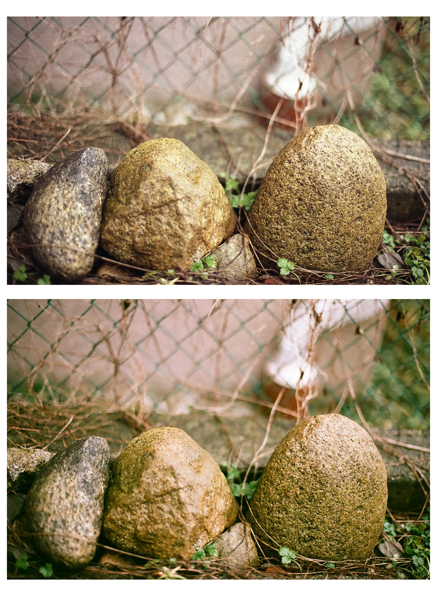 Top: At Home Scan with editing | Bottom: Lab Scan with editing