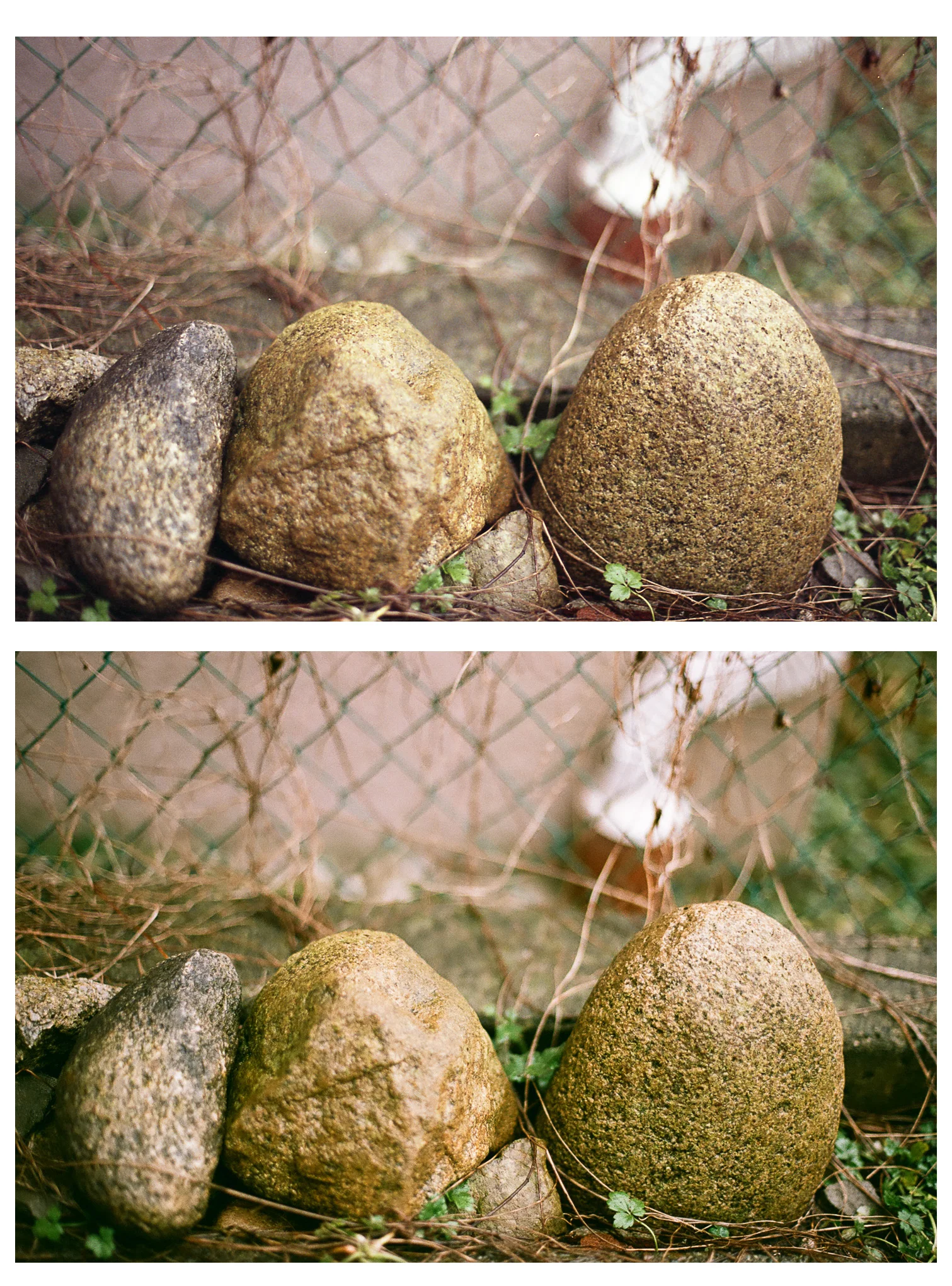 Top: Home Scan | Bottom: Lab Scan