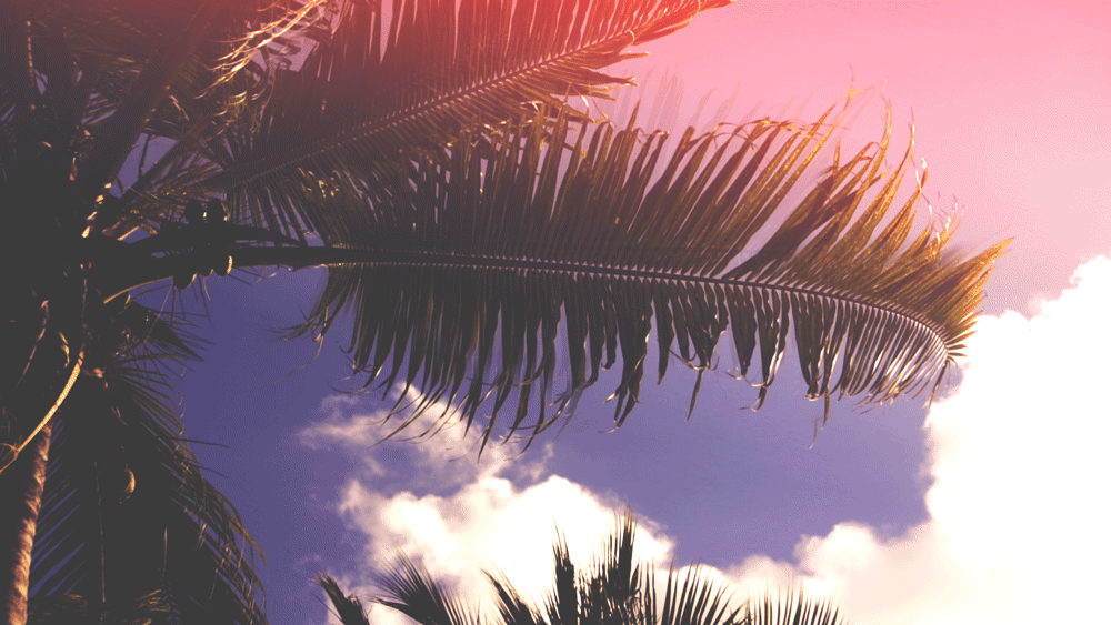 NeverendingLight_Cinemegraph_Original.gif