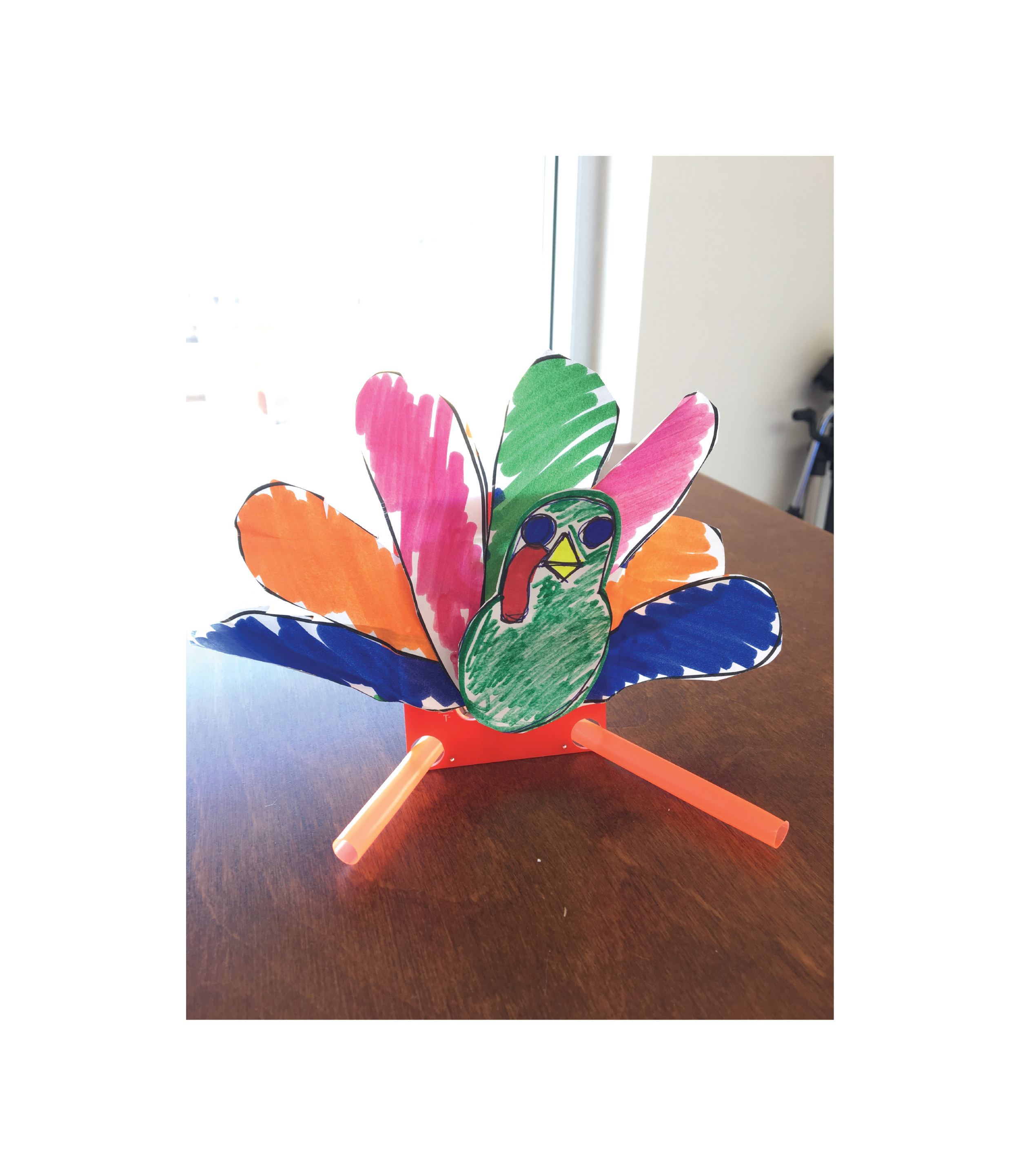 Turkey image-01.png