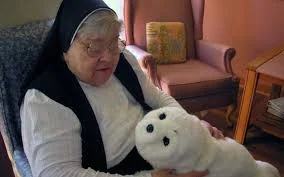 PARO robot with patient