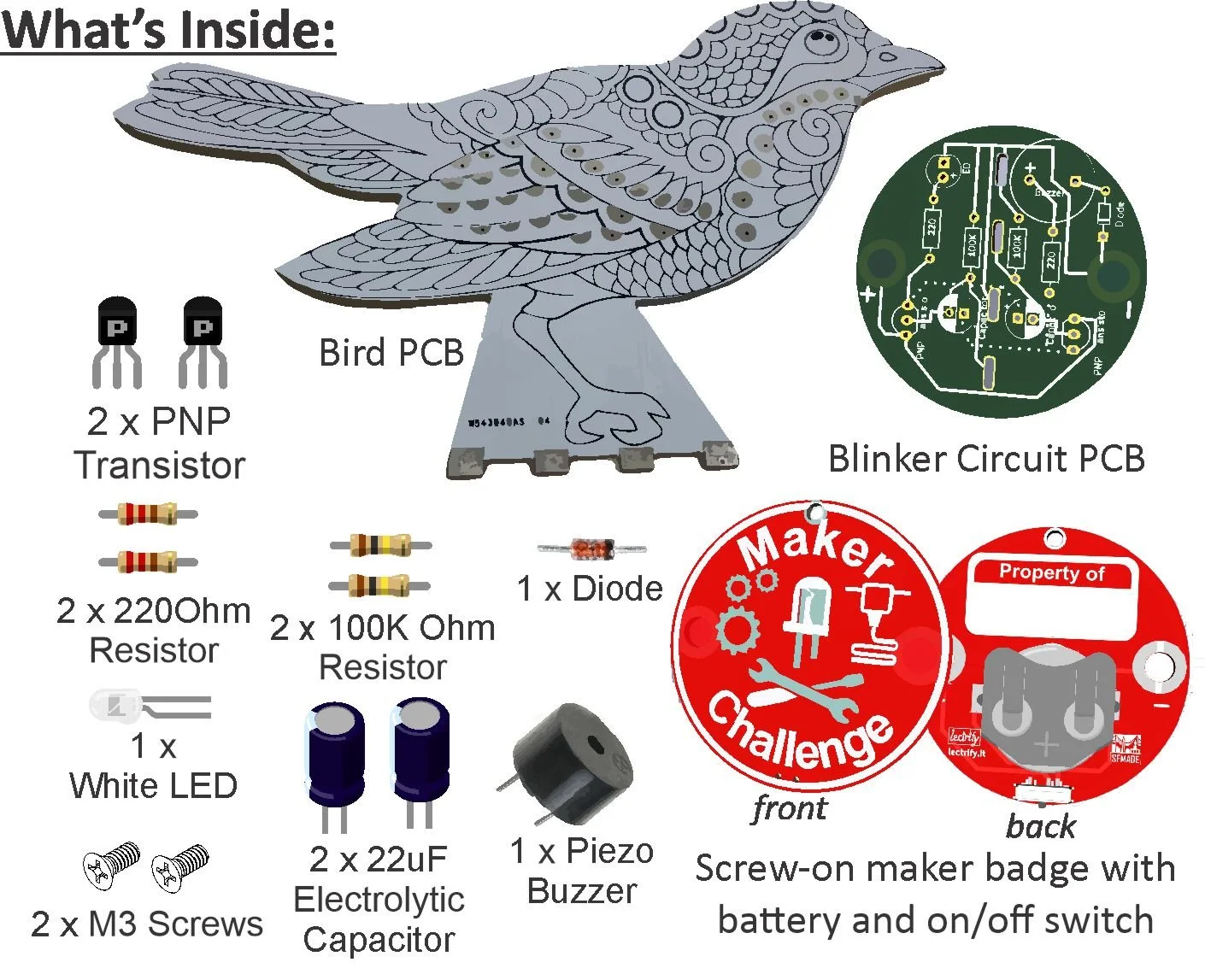 Blinker Bird What's Inside.jpg