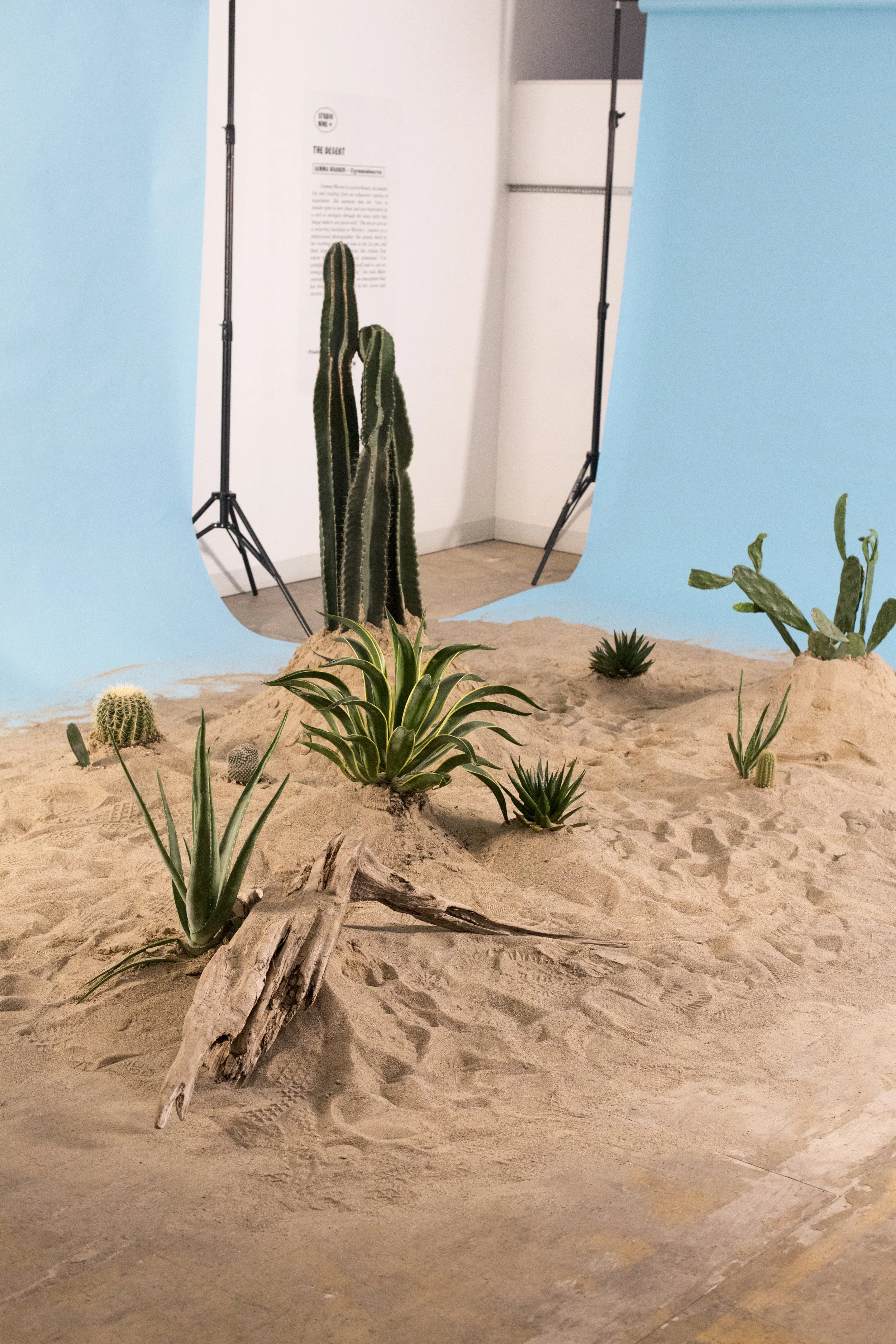Installation inspired by Gemma Warren