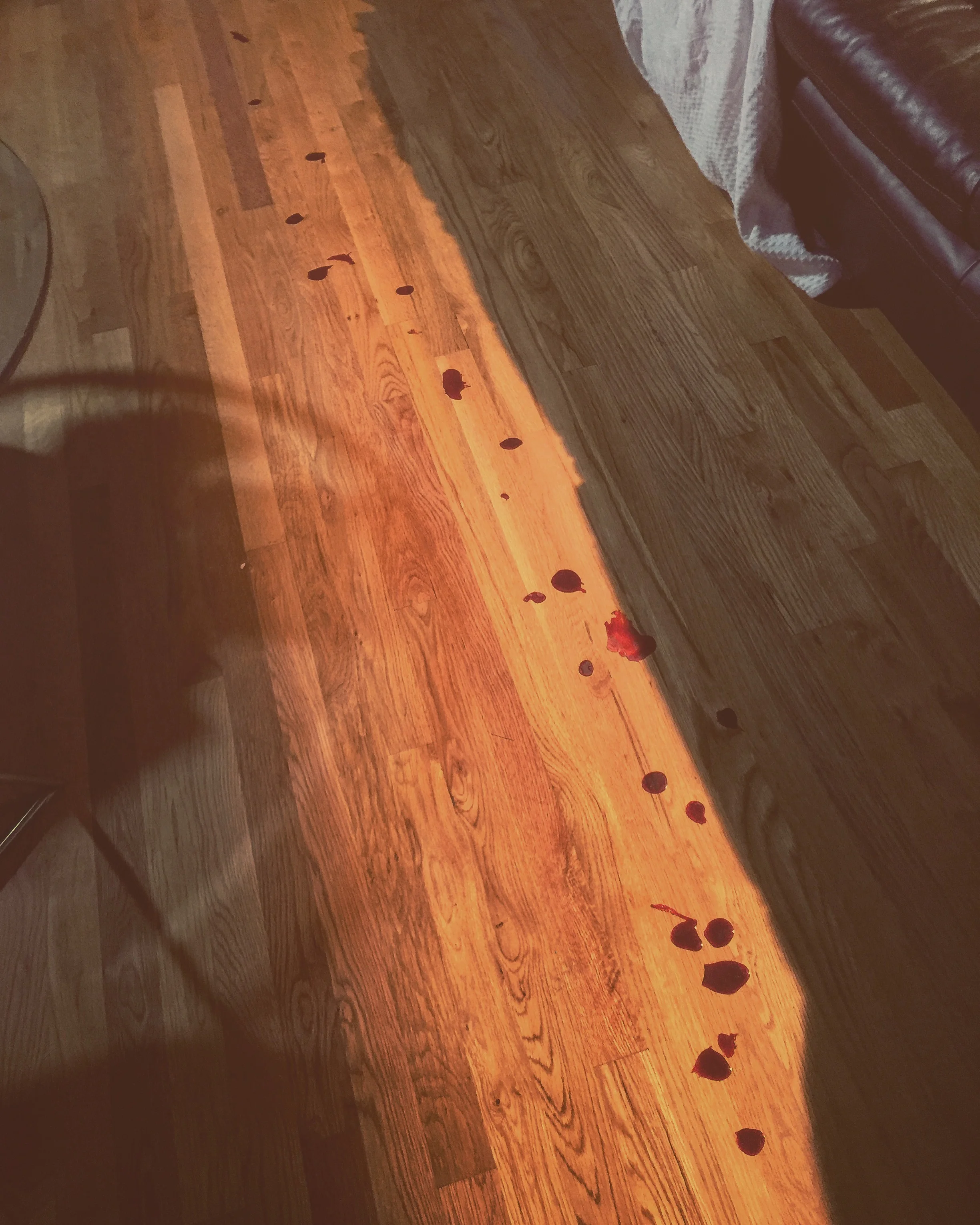 Blood Trail on set!