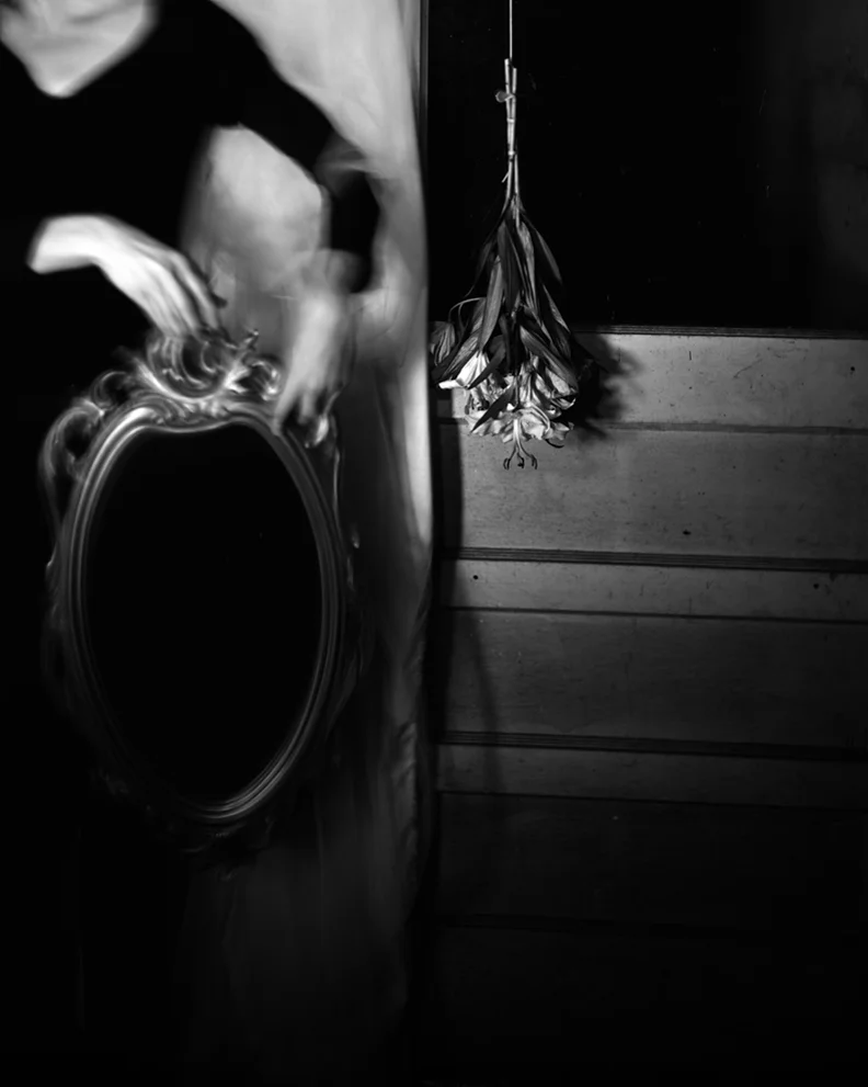L_Semivan_Lilies_2007.jpg