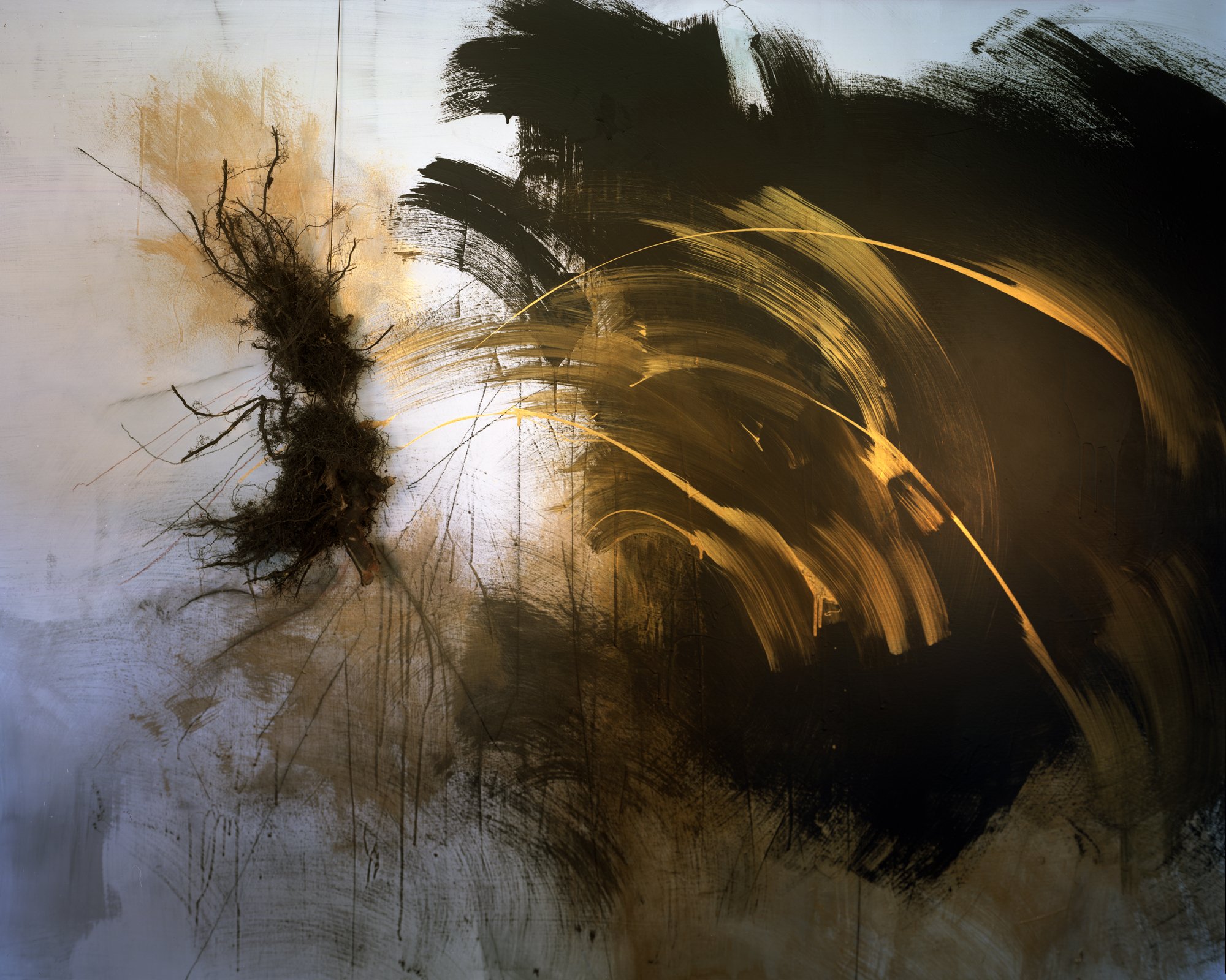 L_Semivan_Root_2023.jpg
