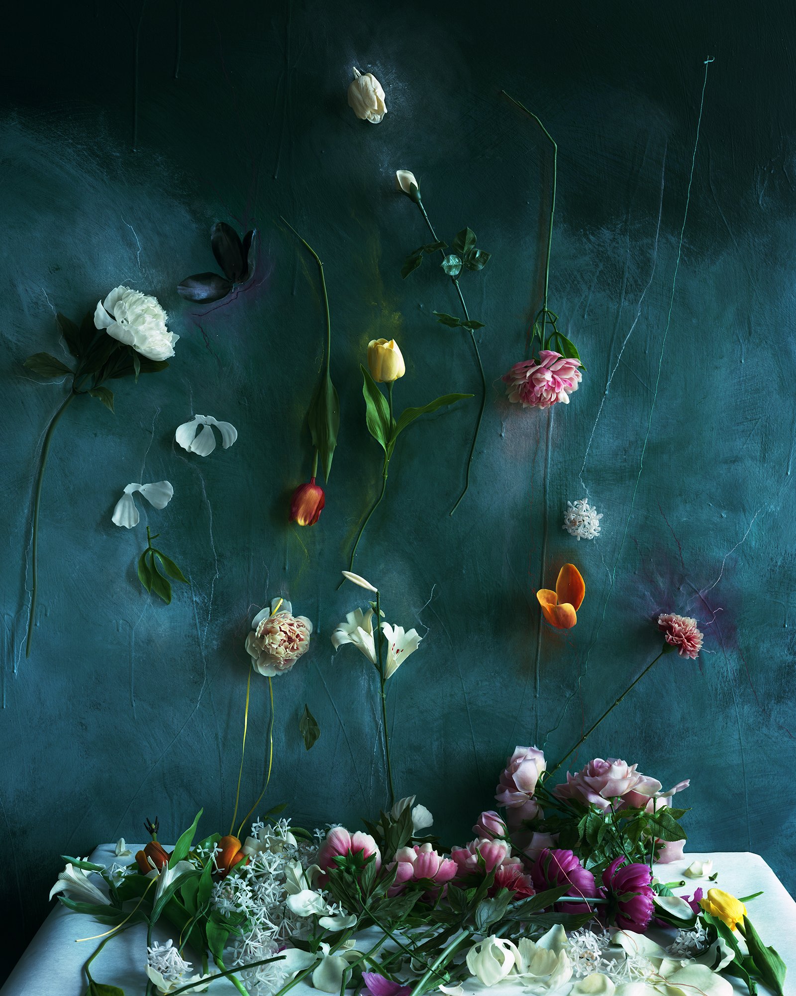 L_Semivan_Plastic_Arrangement_2026.jpg