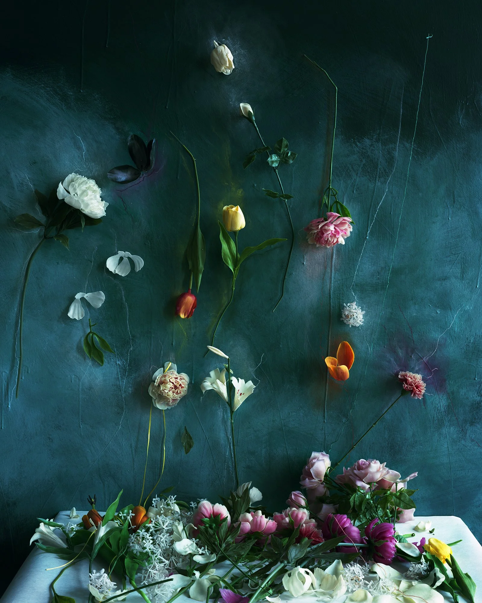 L_Semivan_Plastic_Arrangement_2026.jpg