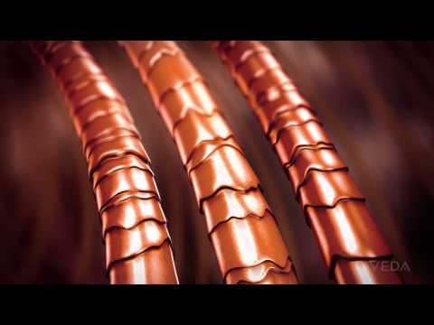 Color Conserve: Help Seal in Hair Color for Up to 6 Weeks