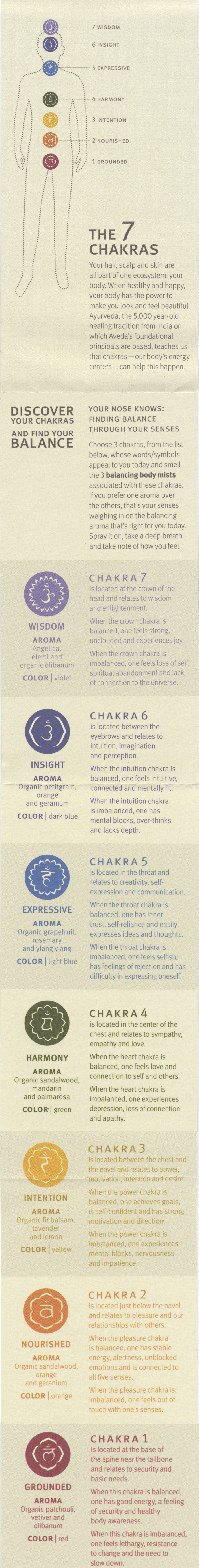 DiscoverYourChakras_SarahKSawyer_Interior.jpg